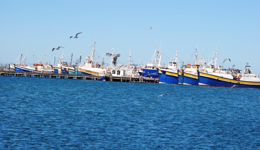 0 Bedroom Property for Sale in St Helena Views Western Cape